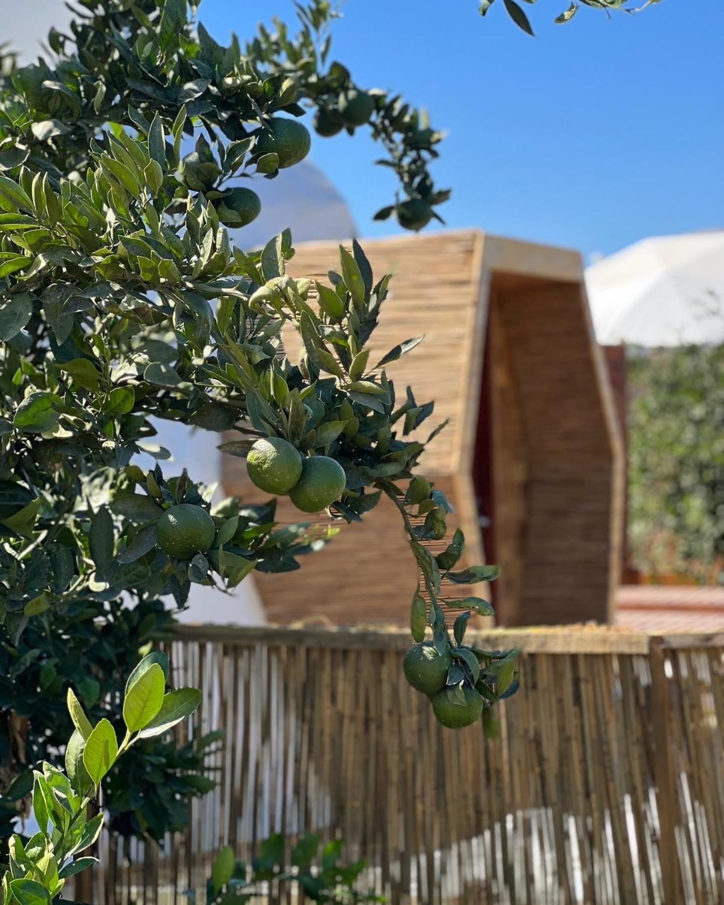 Mandalin Glamping Hotel Selçuk Exterior photo