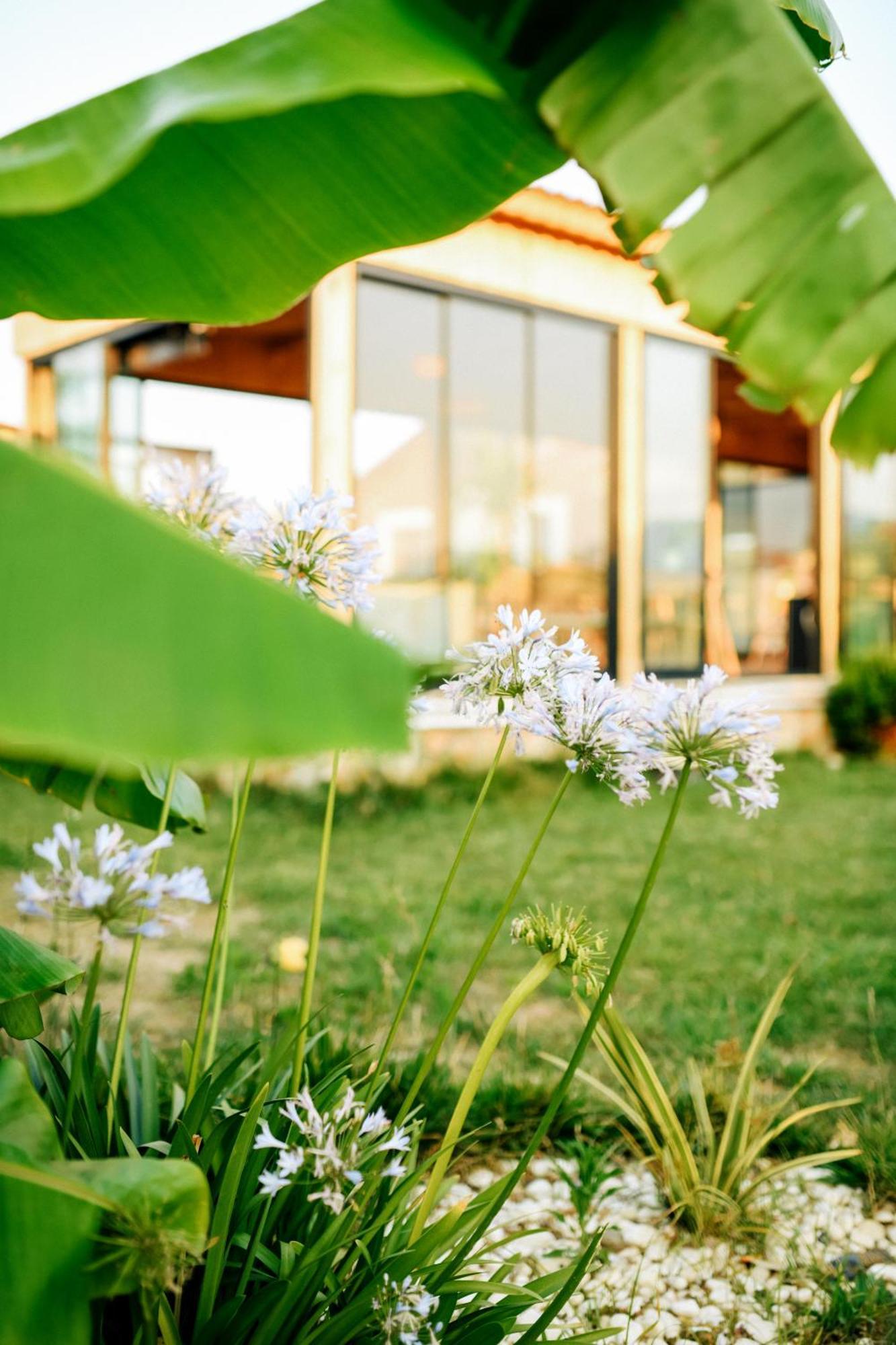 Mandalin Glamping Hotel Selçuk Exterior photo